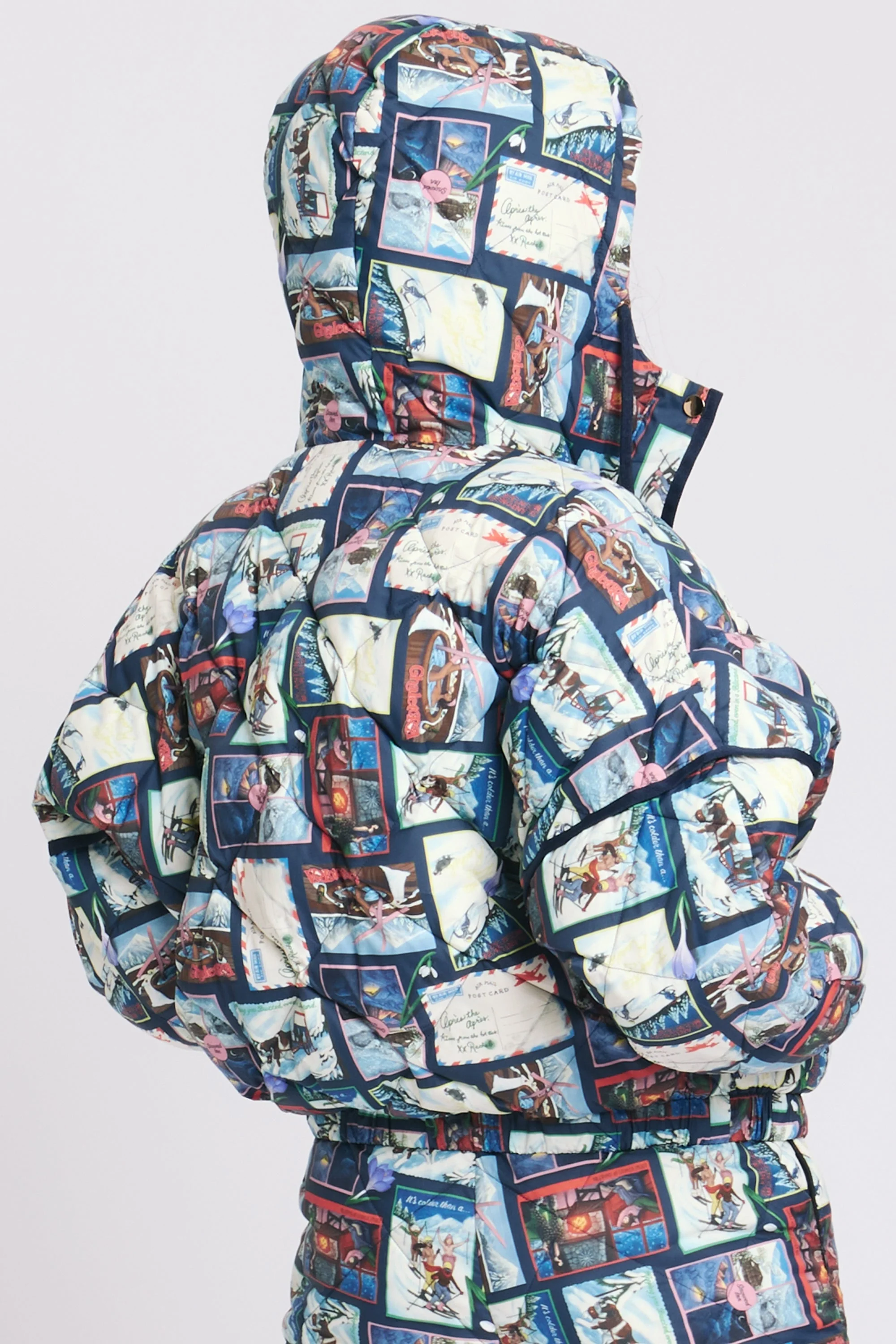 ACE PUFFER CHALET POSTCARDS - Image 6